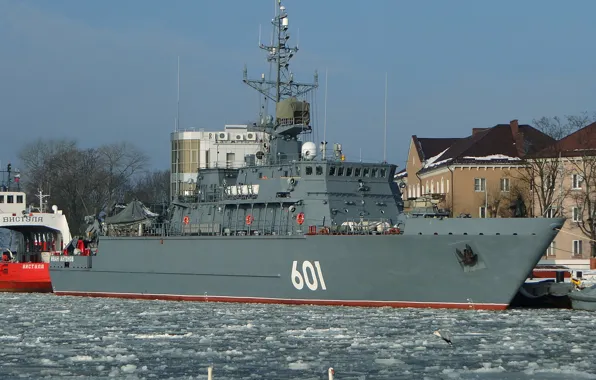 Swans, Baltiysk, minesweeper, Ivan Antonov