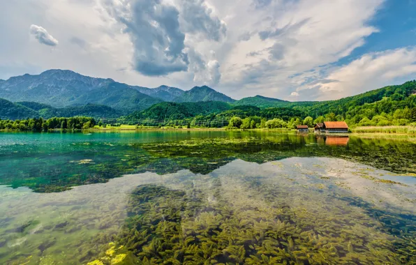 Greens, forest, the sky, clouds, algae, mountains, lake, reflection