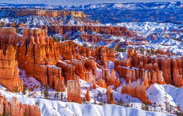 Picture winter, Park, Utah, USA, National Park Bryce Canyon