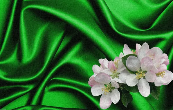 Picture rendering, background, collage, figure, picture, canvas, Apple blossoms, green silk