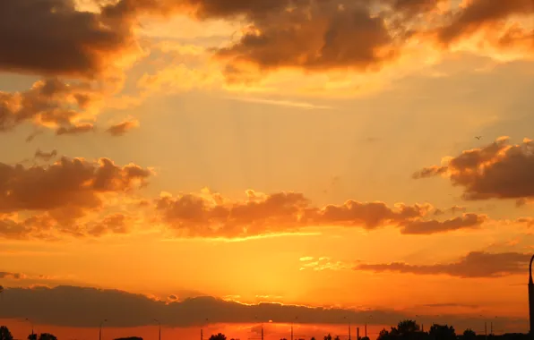 Picture the sun, clouds, rays, light, sunset, clouds