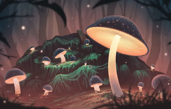 Forest, night, mushrooms, glow, art