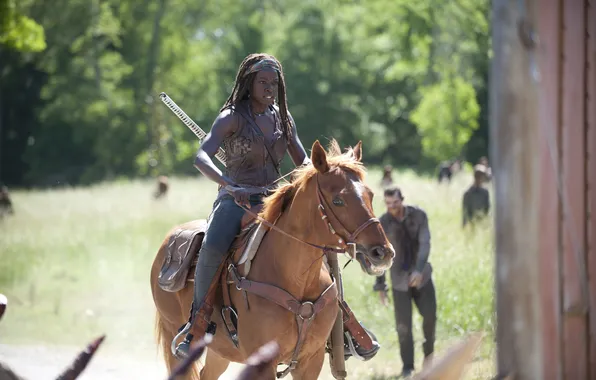Picture horse, zombies, the series, The Walking Dead, The walking dead, Michonne