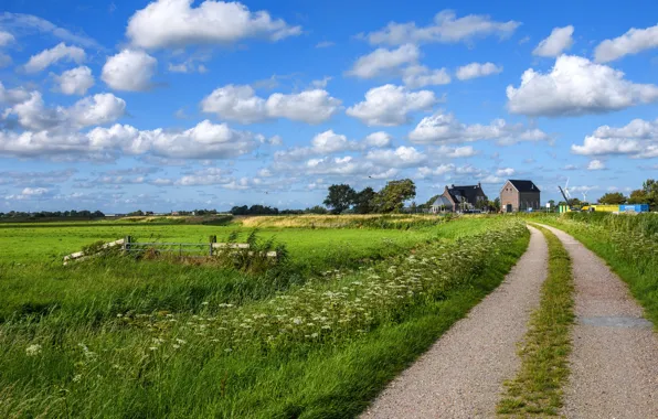 Road, greens, field, the sky, grass, clouds, trees, birds