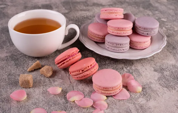 Tea, rose, petals, sugar, cookies, macaron