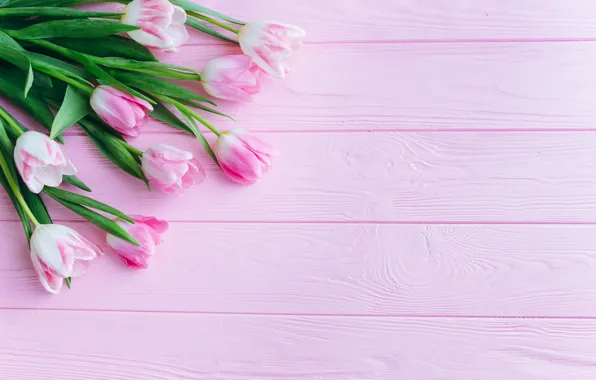 Picture flowers, pink, Tulips, wooden background