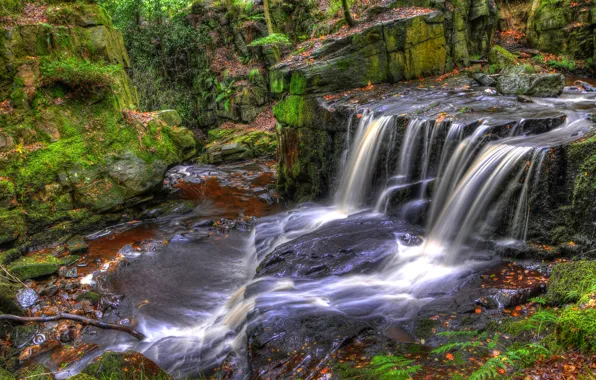 Forest, stream, stones, England, moss, HDR, Rivington, Jepsons Clough Waterfall