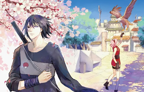 Bird, eagle, flowering, naruto, art, Haruno Sakura, Sasuke Unbridled Download