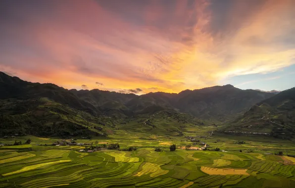 Picture the sky, clouds, sunset, mountains, Asia, view, dal, tea plantations