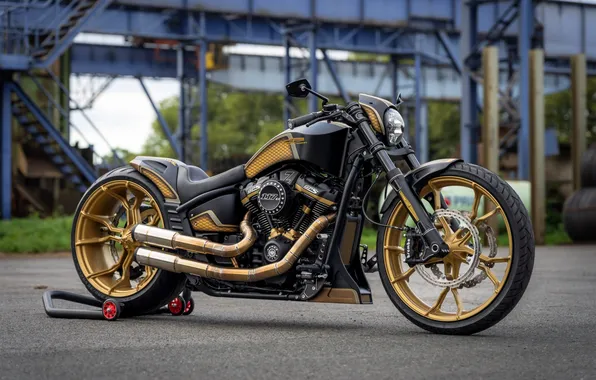 Front, Harley-Davidson, Side View, Customized, Softail Breakout, Thunderbike, Steel Horse, Custombikes