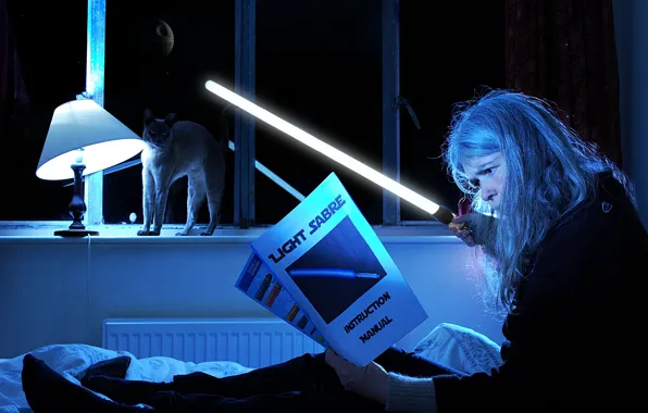 Picture cat, light, night, woman, the situation, window, star wars, lightsaber