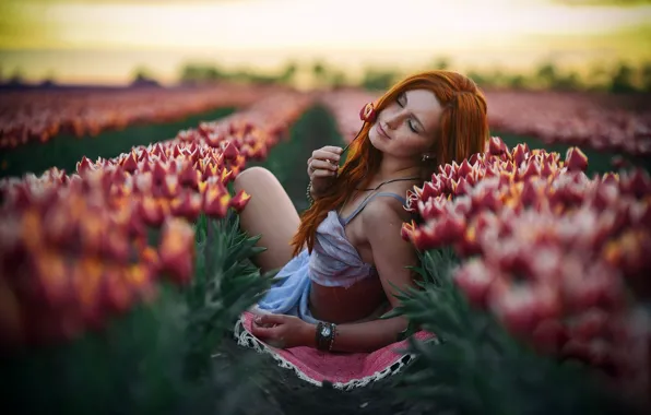 Field, girl, tulips, brown hair, bokeh