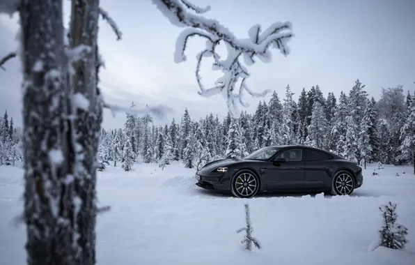 Road, snow, trees, black, branch, Porsche, 2020, Taycan