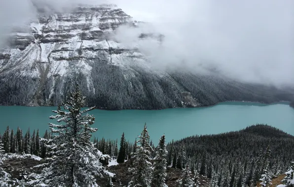 Winter, snow, trees, mountains, nature, fog, rocks, Canada