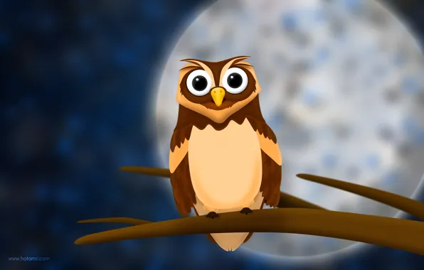 Look, night, owl, the moon, branch