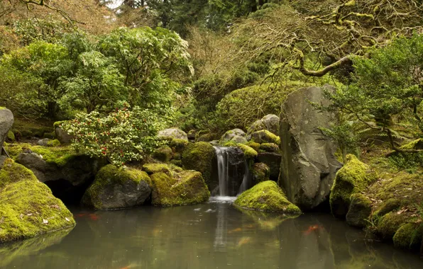 Trees, pond, stream, stones, waterfall, moss, garden, USA