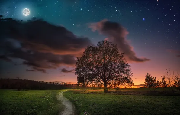 The sky, trees, sunset, night, the moon, meadow, track, path