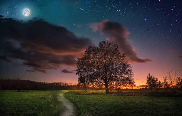 The sky, sunset, night, tree, the moon, meadow, track, path