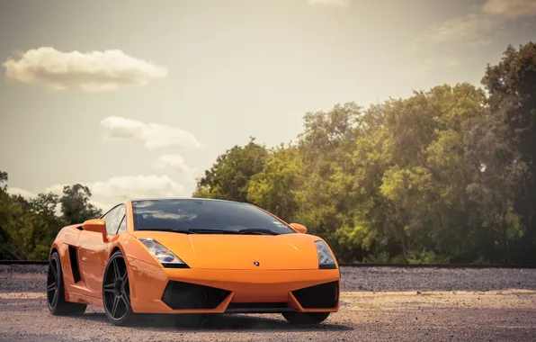 Picture the sky, trees, orange, Lamborghini, Gallardo, Blik, Lamborghini, front