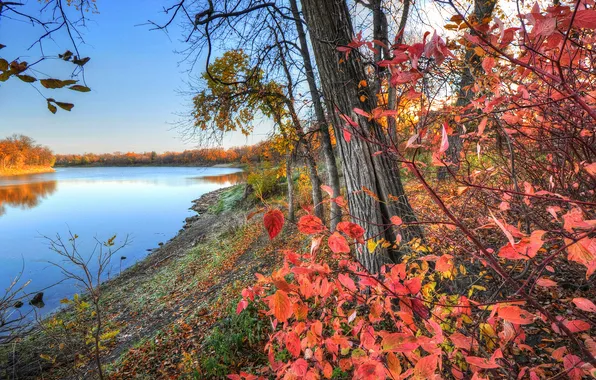 Autumn, the sky, leaves, trees, sunset, river