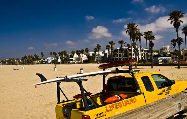 City, the city, USA, Los Angeles, California, venice beach