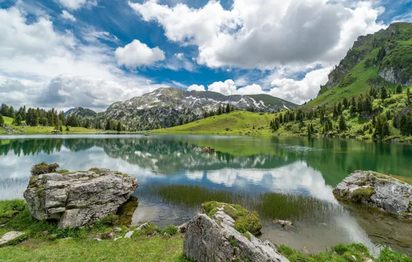 Greens, forest, summer, the sky, grass, clouds, mountains, lake