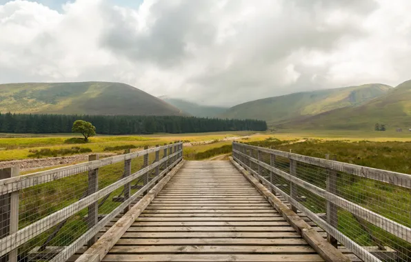 Picture bridge, field, mountains
