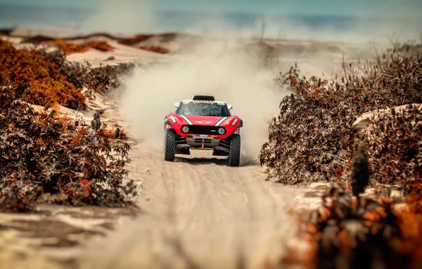 Sand, Auto, Mini, Sport, Machine, Speed, Car, Rally