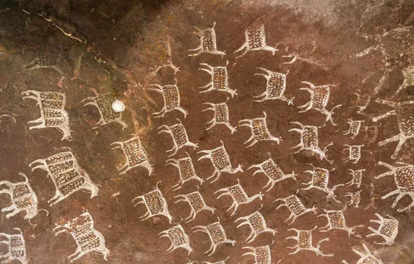 Picture India, cave paintings, Madhya Pradesh, Bhopal