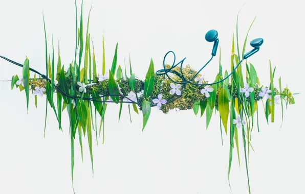 Picture grass, headphones, grass, headphones, Dina Belenko
