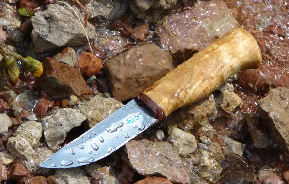 Picture stones, weapons, knife, bumblebee, folder, Air