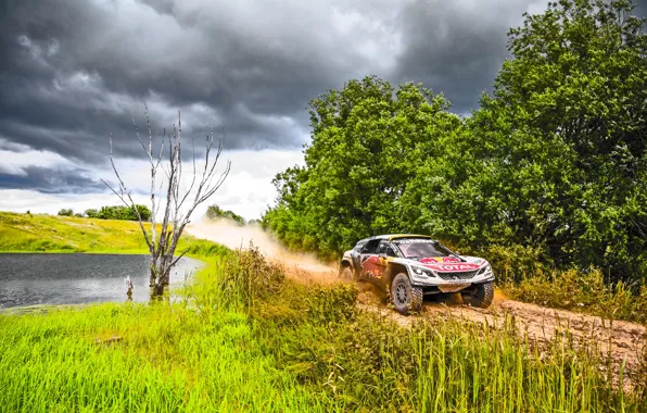 Sport, Speed, Race, Dirt, Peugeot, Lights, Red Bull, Rally