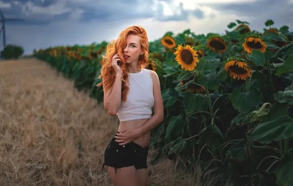 Picture field, look, sunflowers, sexy, model, shorts, portrait, makeup