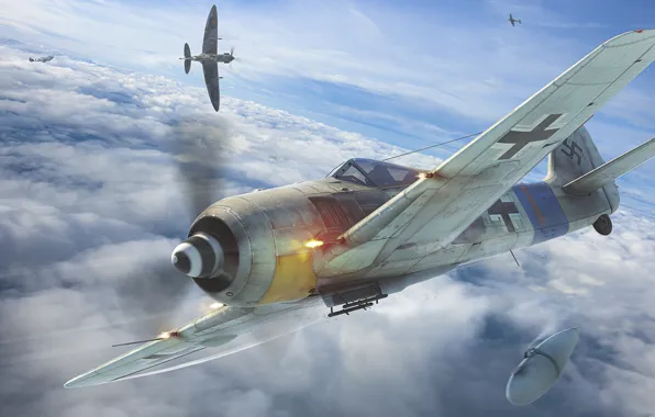 Fighter-monoplane, Luftwaffe, German single-seater single piston, Focke-Wulf Fw 190 Würger, The Butcher Bird, rOEN911