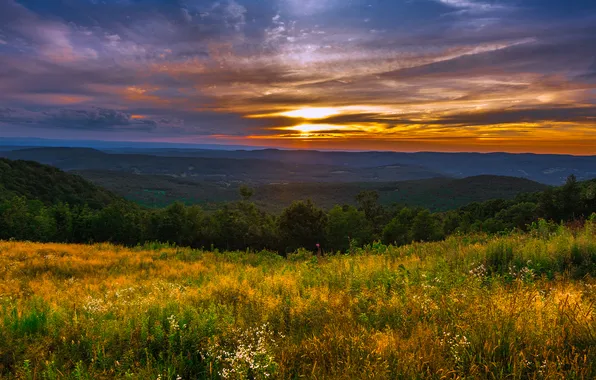 Field, forest, the sky, grass, the sun, clouds, sunset, mountains