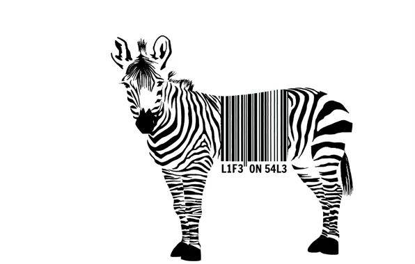 Picture background, Zebra, barcode
