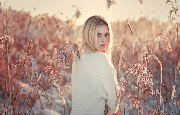 Frost, girl, blonde, ears