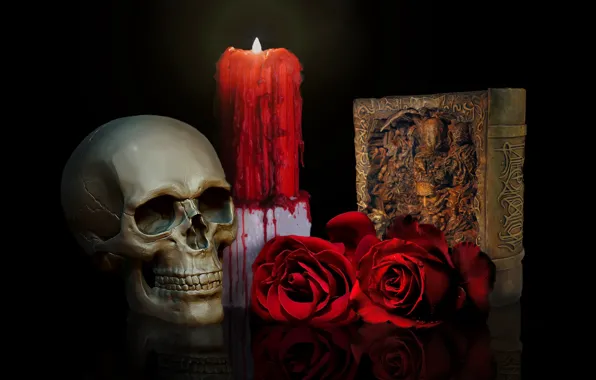 Picture skull, roses, candle, book