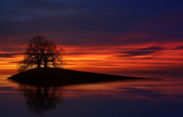 Picture island, glow, trees, lake, silhouette