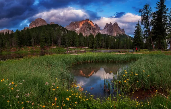 Forest, summer, grass, clouds, flowers, mountains, nature, lake