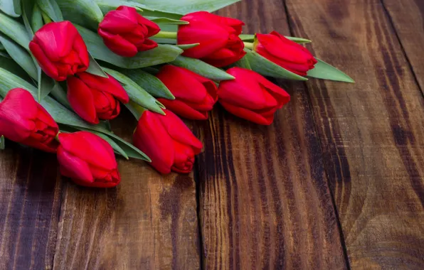 Flowers, bouquet, tulips, red, red, fresh, wood, flowers