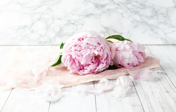 Flowers, Board, bouquet, petals, fabric, lies, pink, light background