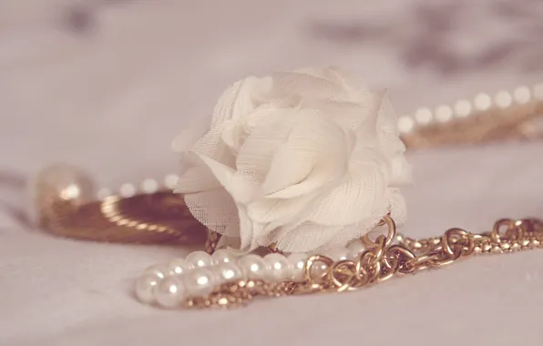 Macro, pearl, decoration, chain