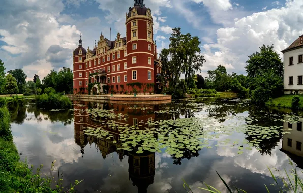 Picture greens, the sky, water, clouds, trees, nature, pond, Park