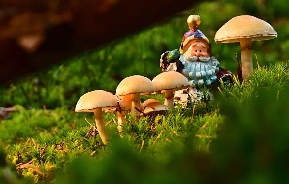 Greens, nature, toy, mushrooms, moss, beard, log, dwarf