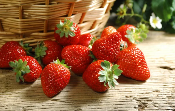 Berries, basket, strawberries, strawberry