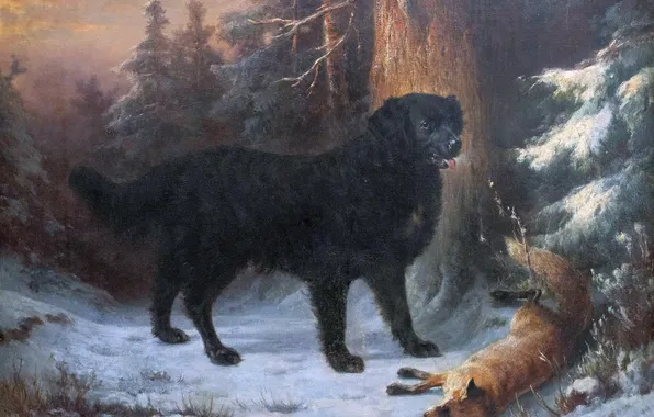 Winter, Dog, Trees, Snow, Fox, Picture, Carl Reichert, Carl Reichert