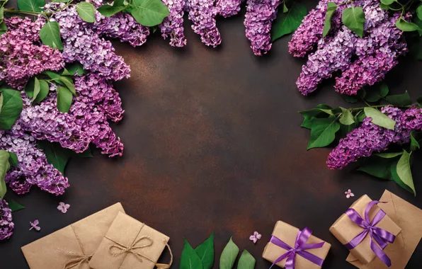 Flowers, gift, wood, flowers, lilac, lilac, frame, gift box