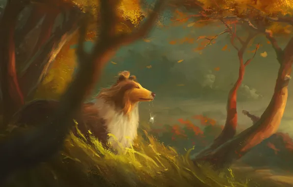 Autumn, forest, trees, the wind, dog, medallion, art, collie