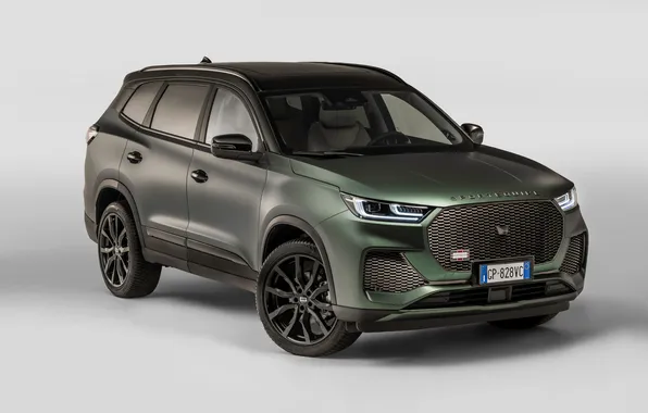 Auto, chameleon, Sportequipe